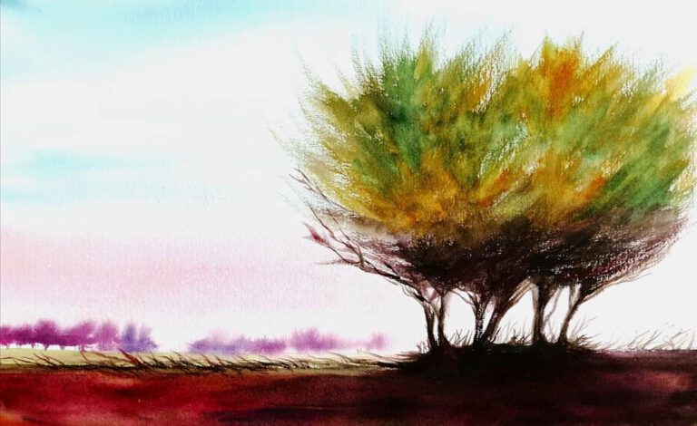 «Inspiración en el paisaje», Tania Henríquez